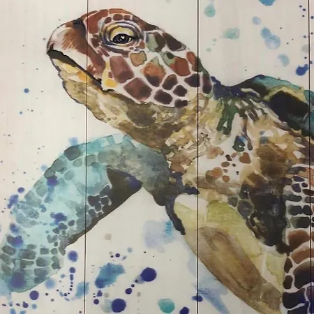Caretta Exclusief Belgische Klanten Apartment